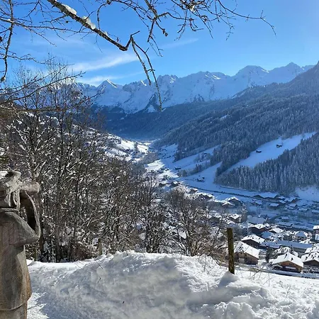 Appartement Le Grand-bornand, 1 Pièce, 4 Personnes - Fr-1-458-171 *